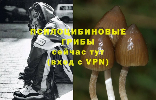 кокаин Алзамай