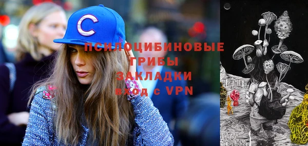 индика Гусь-Хрустальный