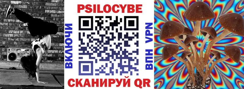 где найти наркотики  Нижний Новгород  Псилоцибиновые грибы ЛСД 