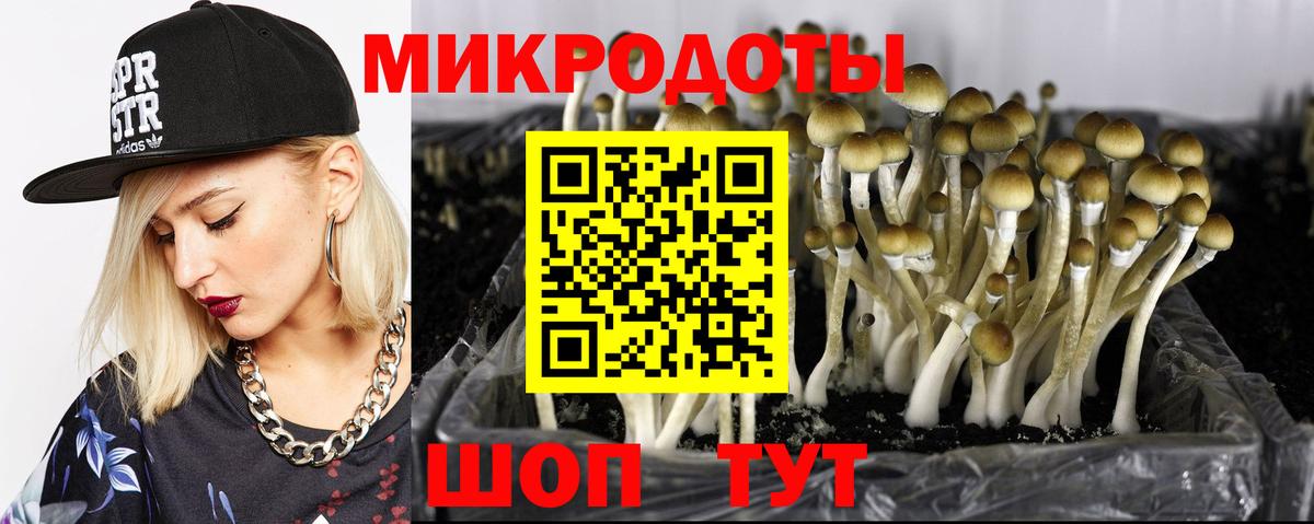Нижний Новгород  Галлюциногенные грибы Magic Shrooms  Вход с VPN  Галлюциногенные грибы мицелий 