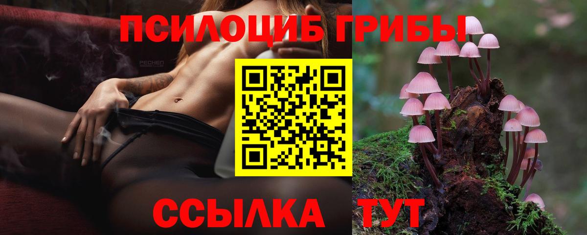 Псилоцибиновые грибы мухоморы Нижний Новгород